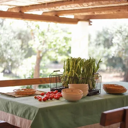 Villa Trulli&dimore Il Pinnacolo Verde